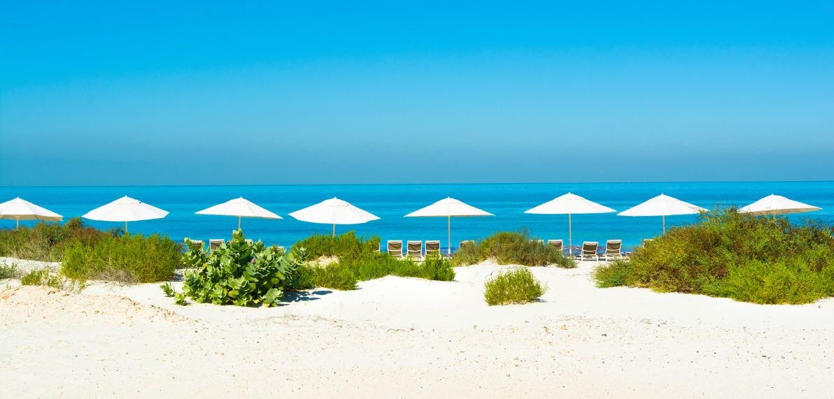 Digital Marketing in Saadiyat Island